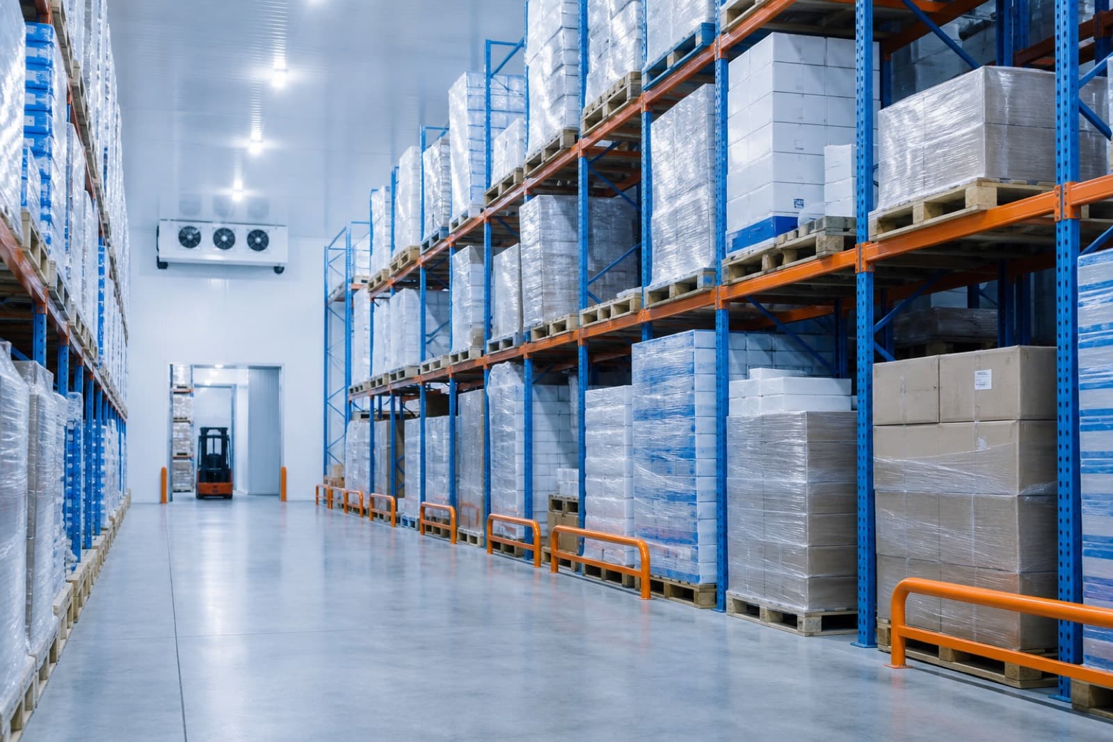 Warehouse and dock operations team at NordikTransit